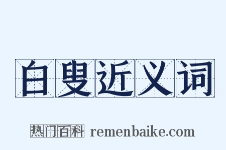 白叟近义词是什么意思的图片
